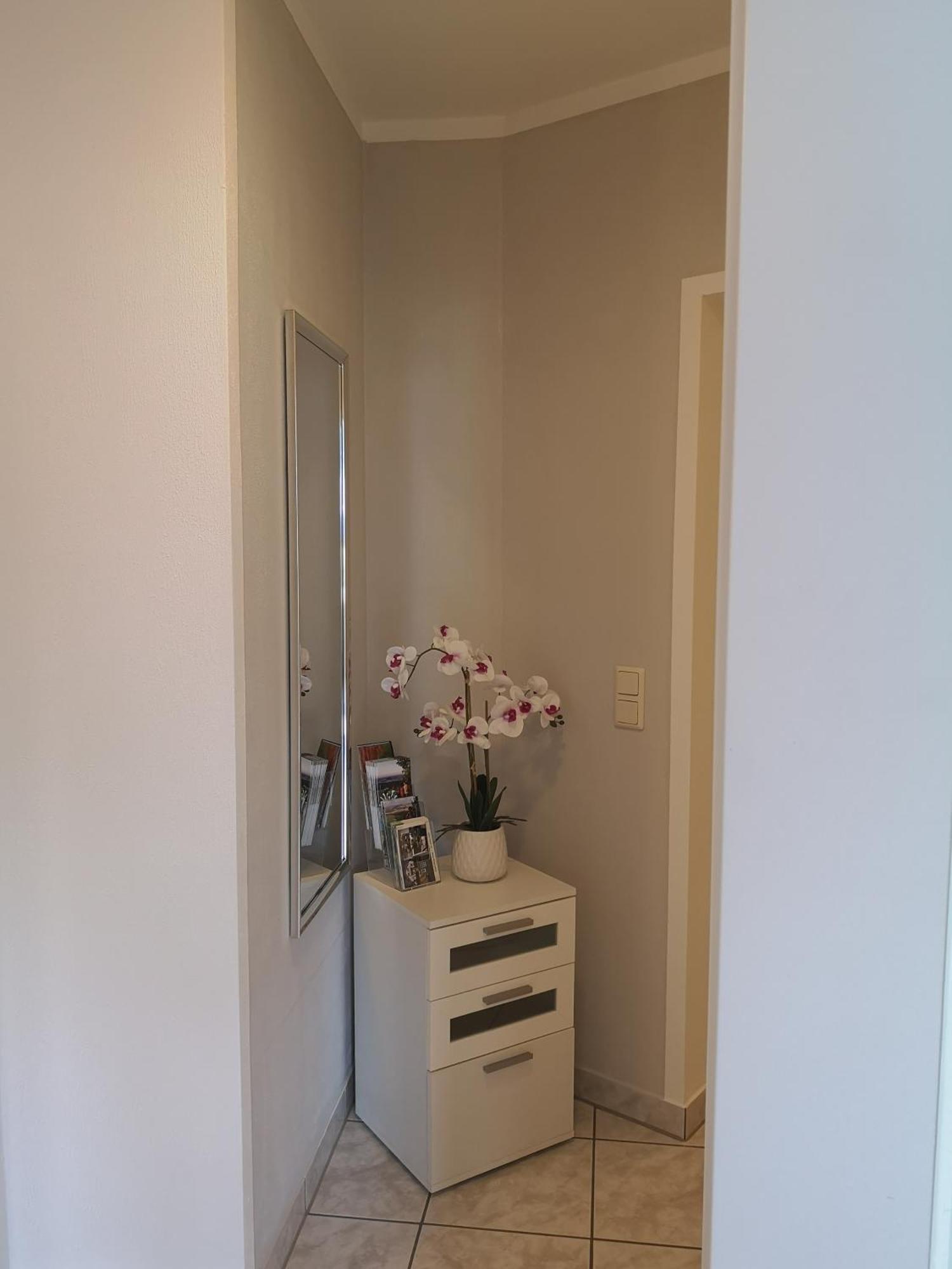 Ferienwohnung Am Park - Vulkanferien Plaidt Exterior foto
